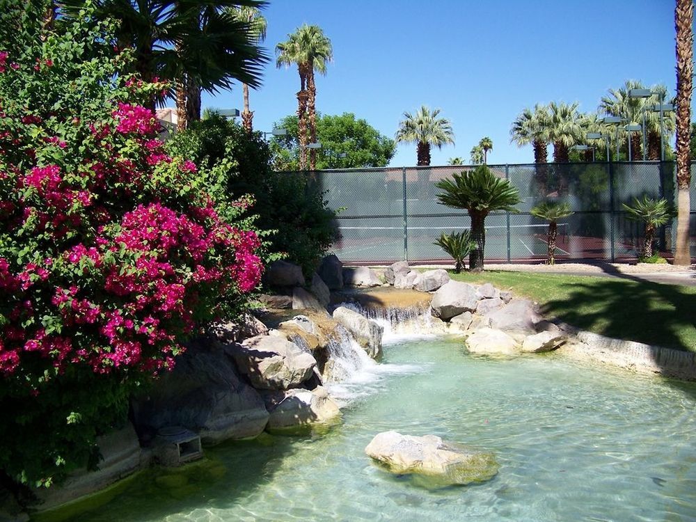 The Oasis Resort Palm Springs Létesítmények fotó