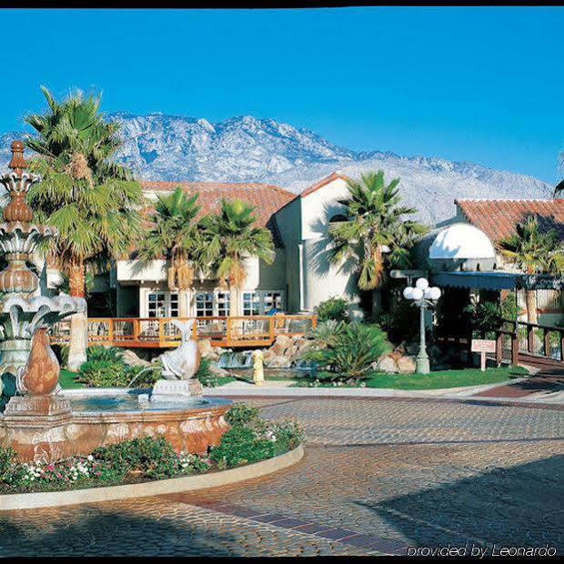 The Oasis Resort Palm Springs Kültér fotó